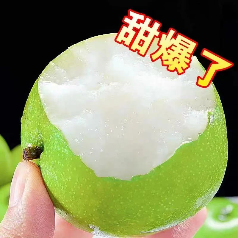 青皮砀山梨脆甜多汁产地现摘现发当季水果