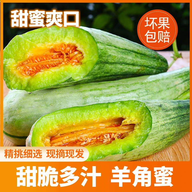 现摘羊角蜜甜瓜4.5斤装山东羊角蜜品质新鲜现摘好吃脆甜爆汁