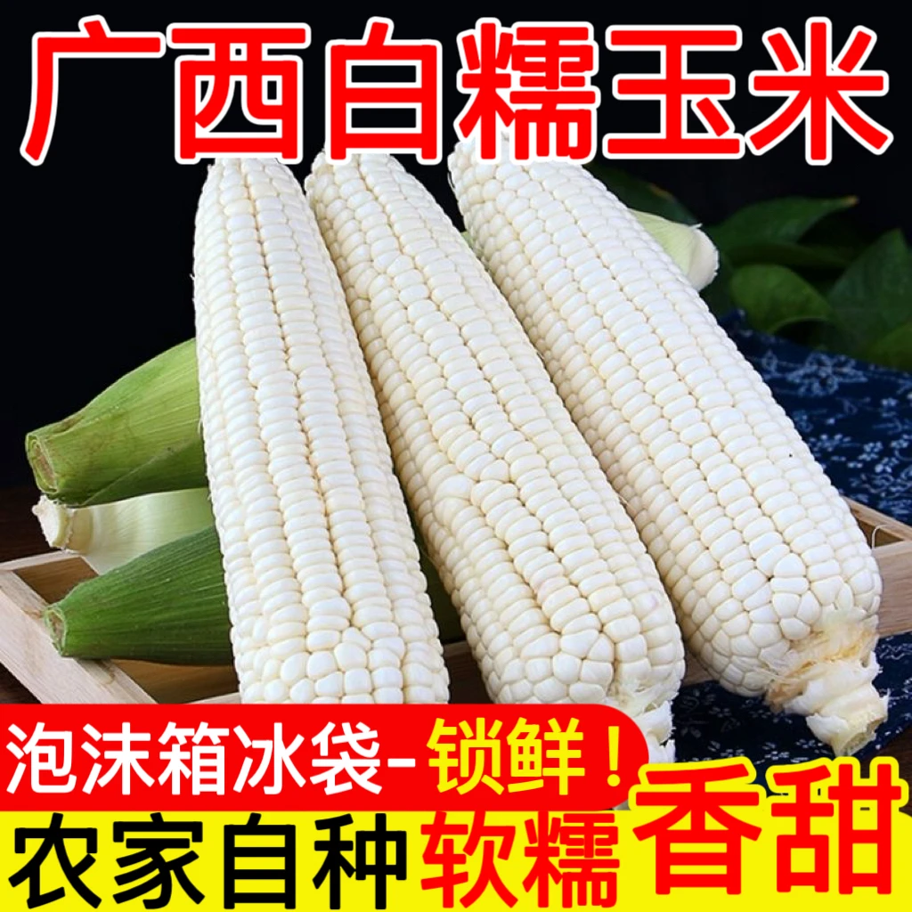 【泡沫箱+冰袋】新鲜爆浆牛奶白糯玉米带壳现摘嫩玉米棒子水果蔬菜