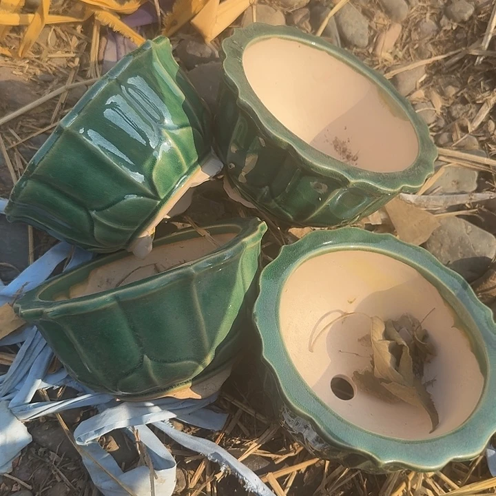 紫砂杯及其他工艺制作方法也非常
