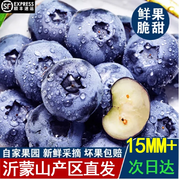 山东蓝莓大果15-18mm花香脆甜新鲜采摘顺丰包邮送货上门每盒100g山东省