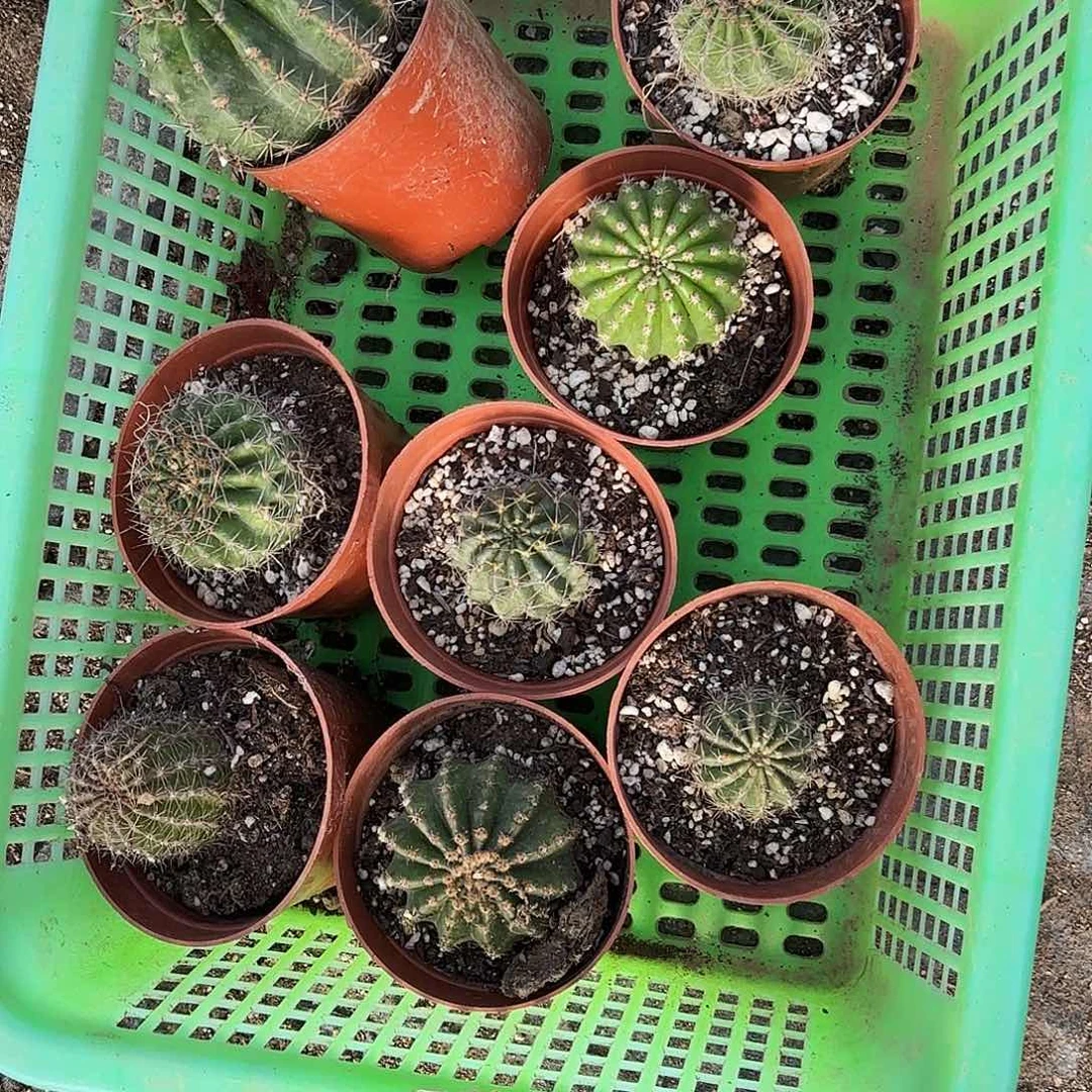 28 混品瑕疵无售后