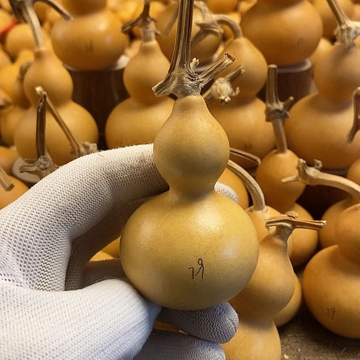 文玩葫芦 完美主义者 慎拍79