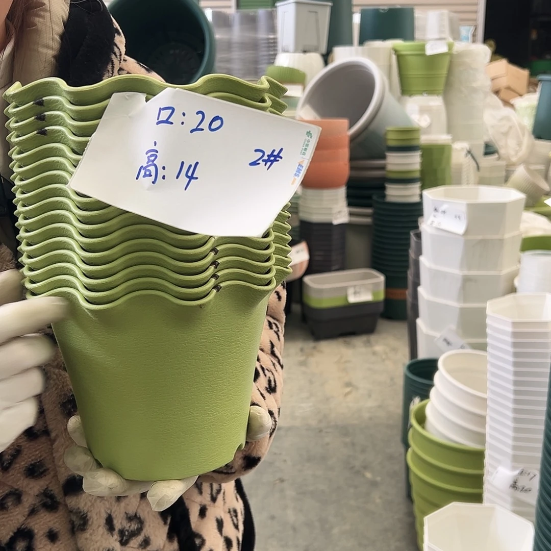 瑕疵荷叶盆2#果绿10个无托