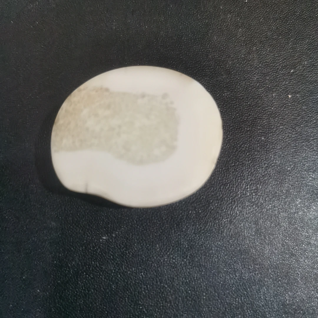 猛犸虬饼子kk826