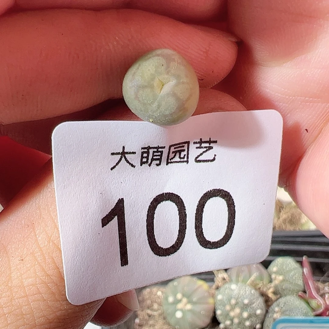 0000100 一物一拍……