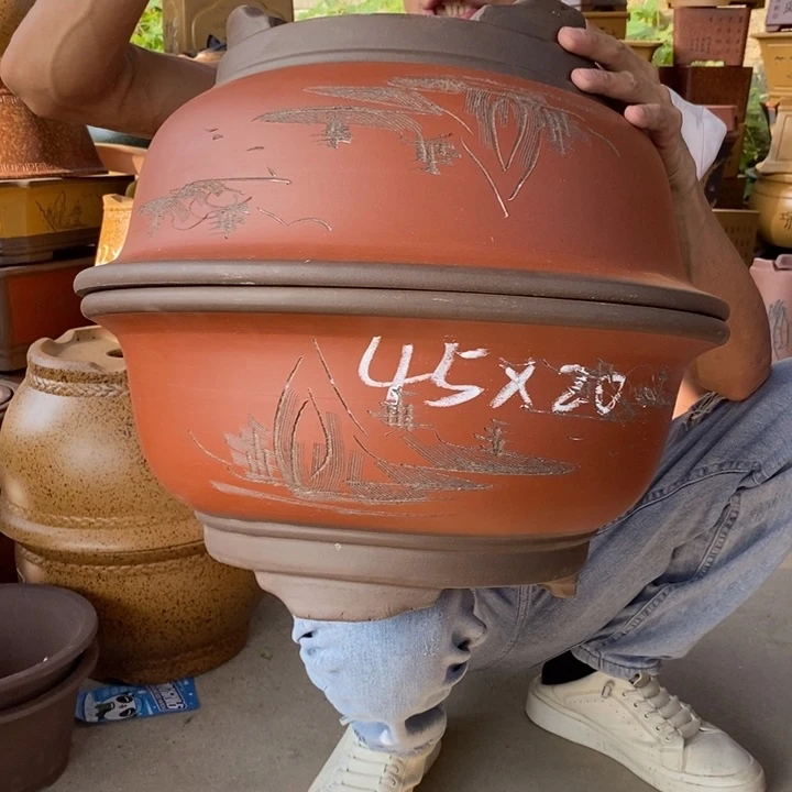 紫砂紫砂紫砂紫砂