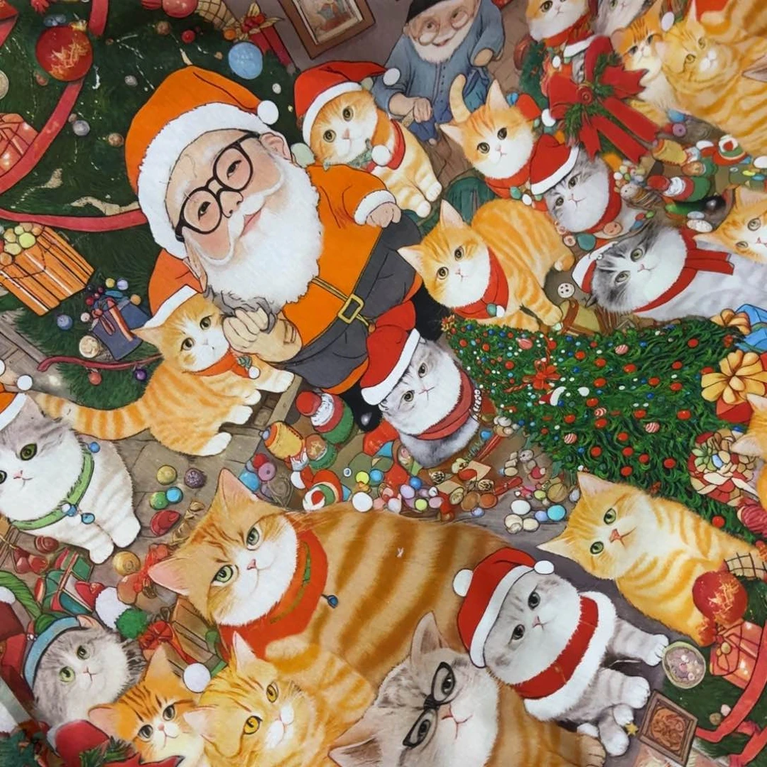 棉纯棉平布1米价X1.1米宽F