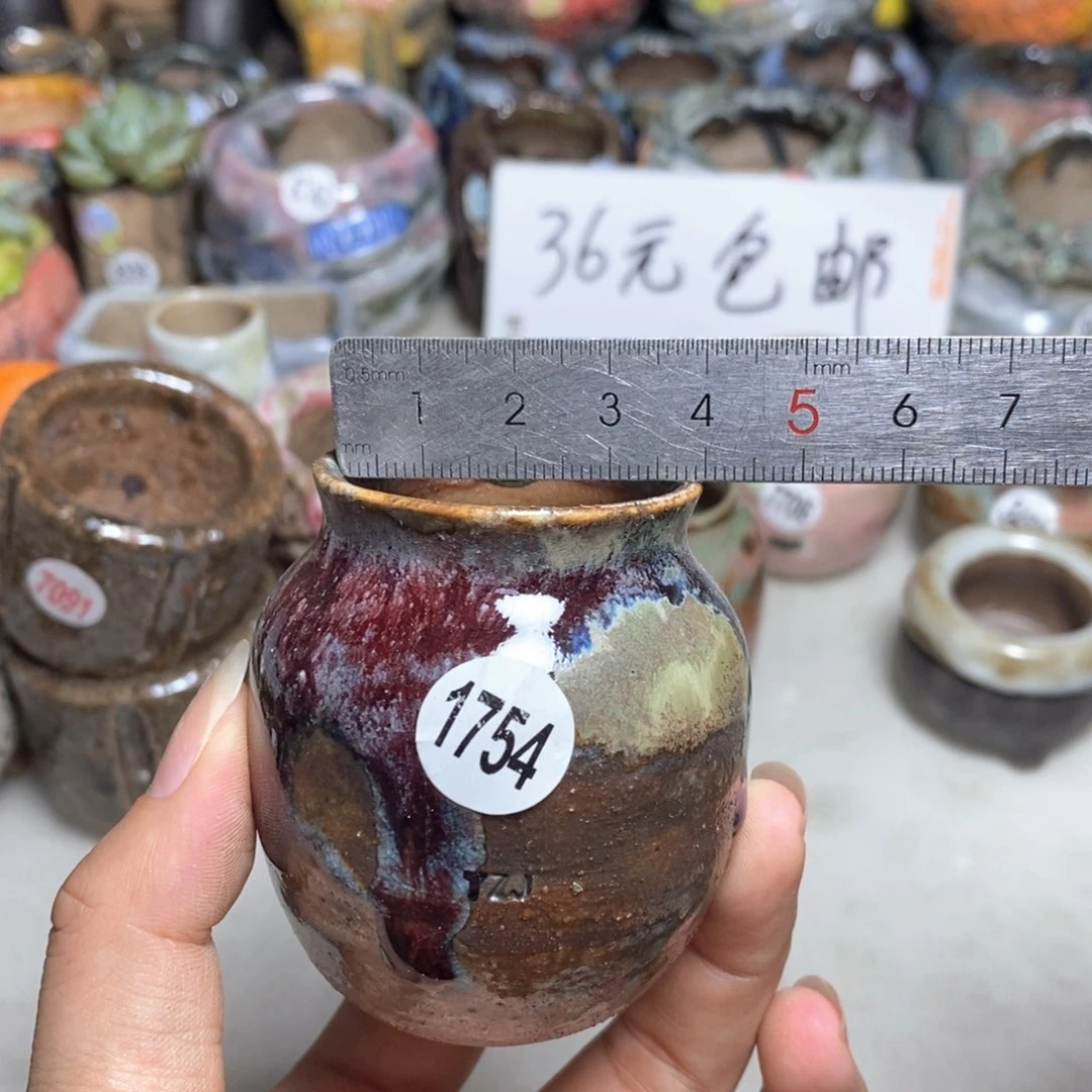 拍5送一个小礼物