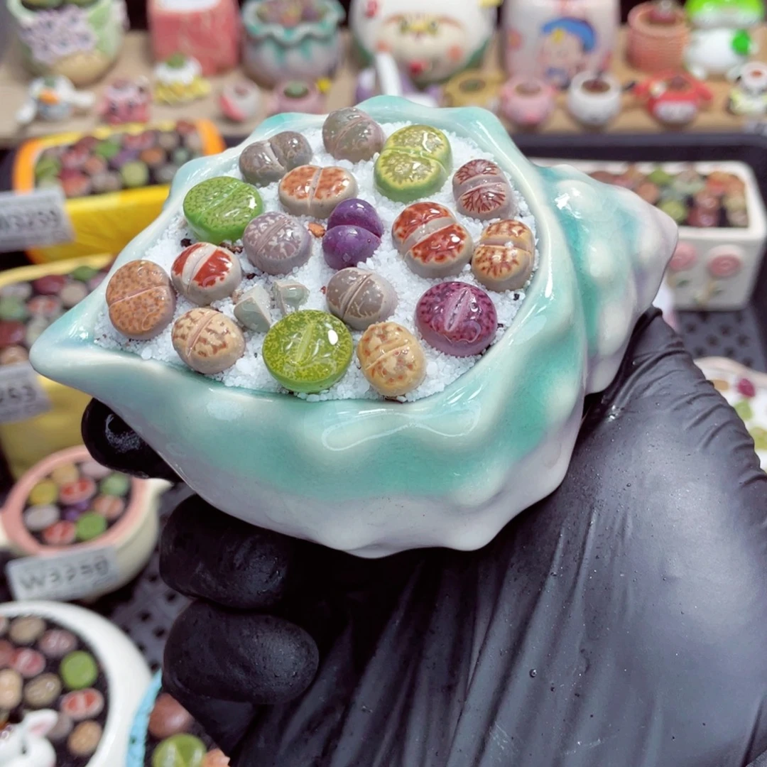 夜间零下地区拍保温箱w3276