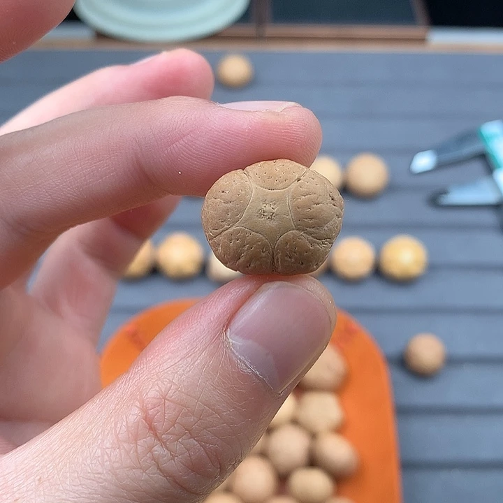 吊坠凤眼菩提特价21+五星，非质量问题开孔不退