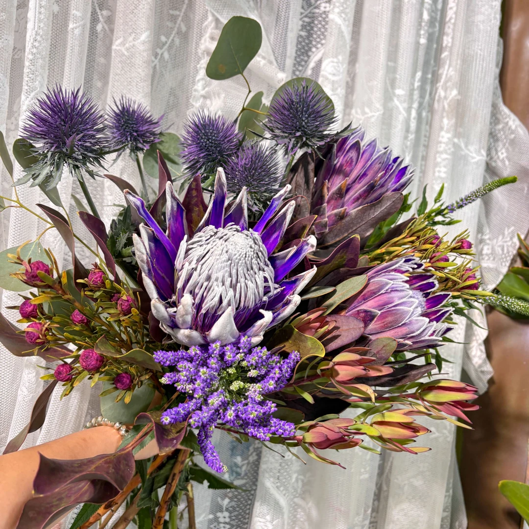 【紫气东来】 南非进口帝王花嘉年华公主鲜花花束