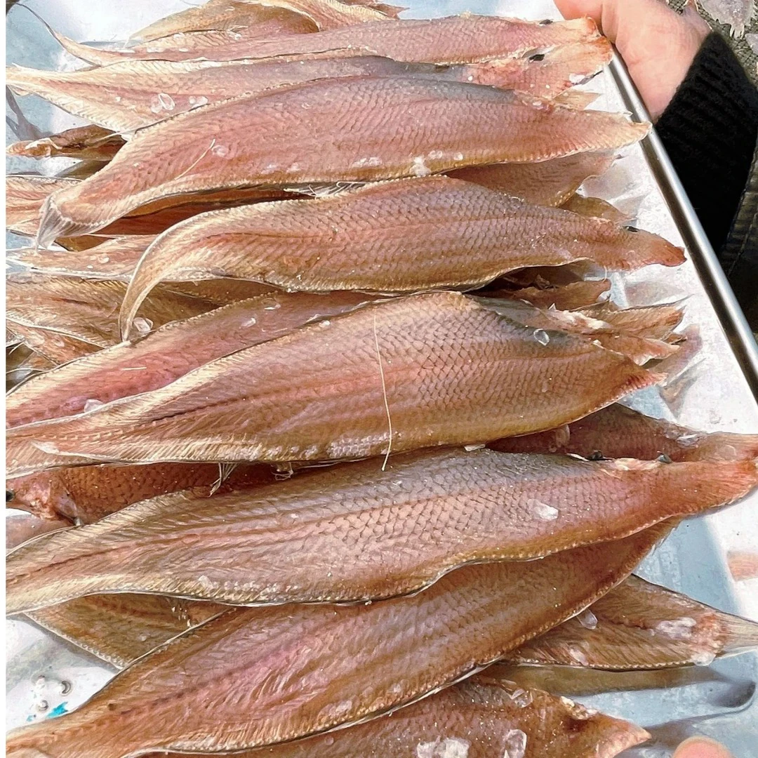 【小海锅】北海淡晒龙利鱼干 风干淡口微咸海鲜干货