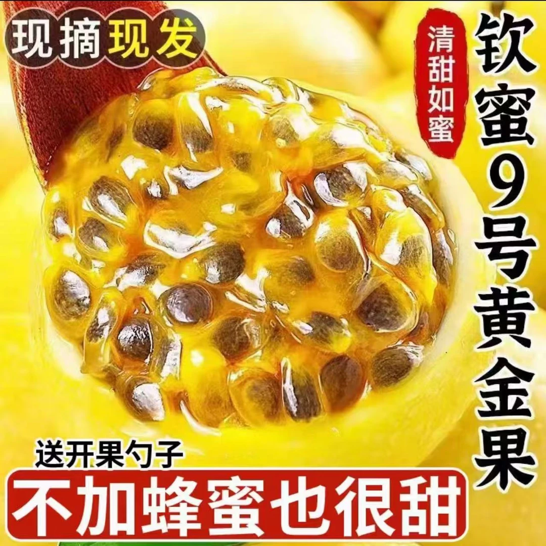DH钦蜜九号黄金百香果正宗香甜多汁配开果器  坏果包赔