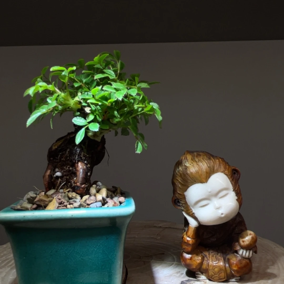 木一*木雕工艺品摆件
