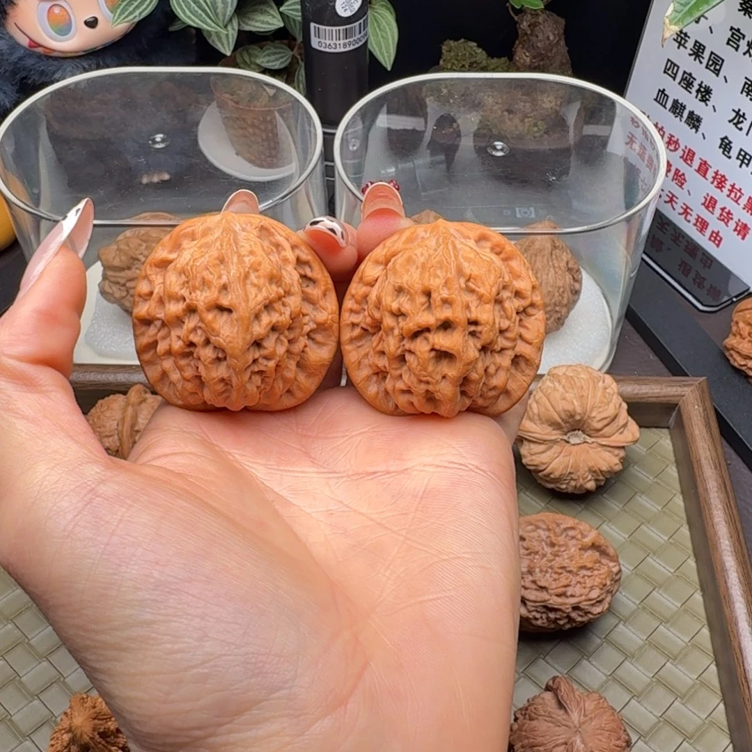 核桃精修头货金公子42