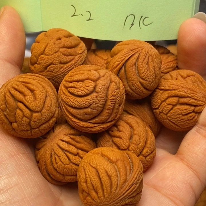 手串文玩核桃秦岭龙纹桃核22