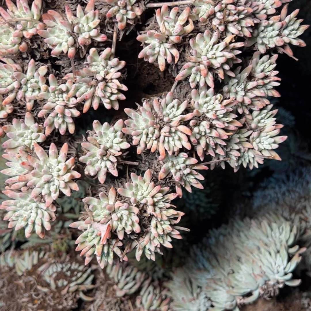 1933哈哈哈哈哈哈哈哈