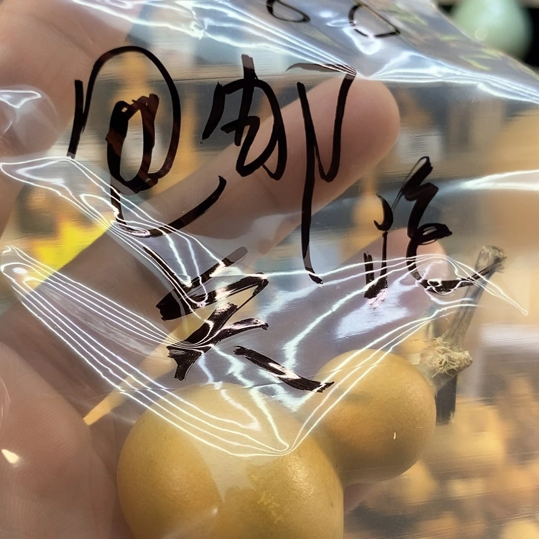 橄榄核手串/手链?*丘精品文玩葫芦随便挑