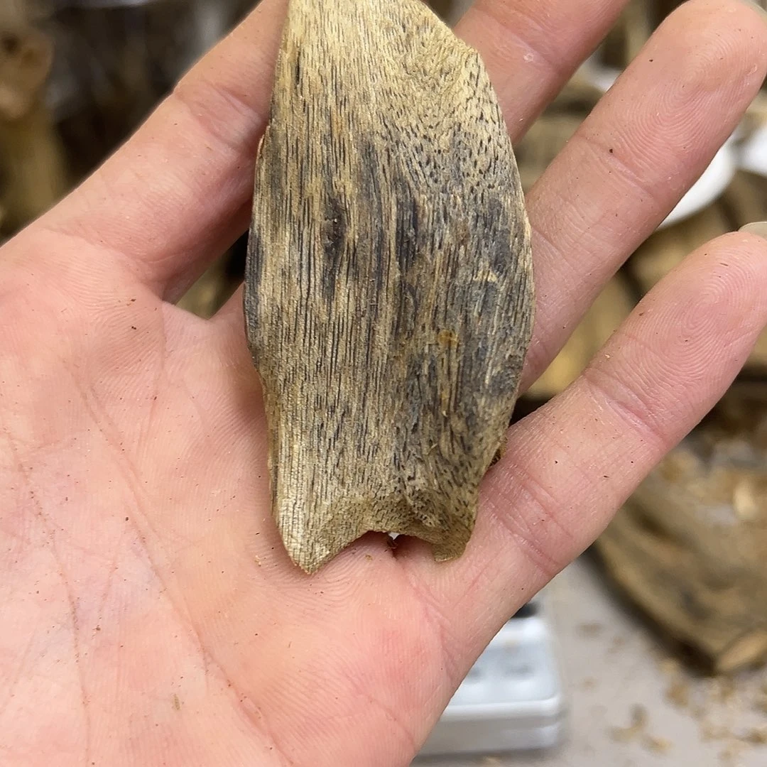 奇楠精勾干料11克➕