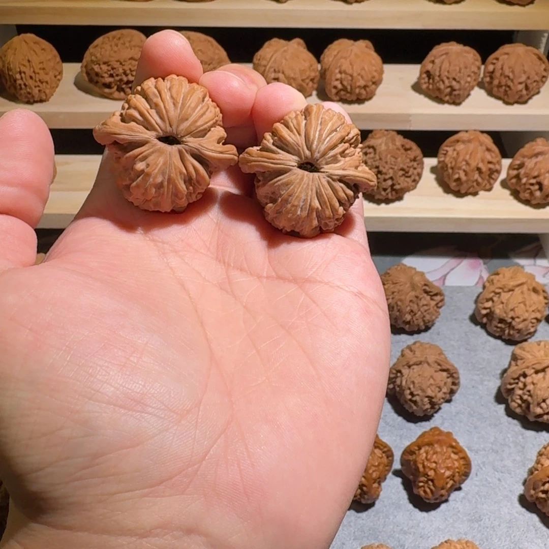 大叶紫檀（黑酸枝木类）