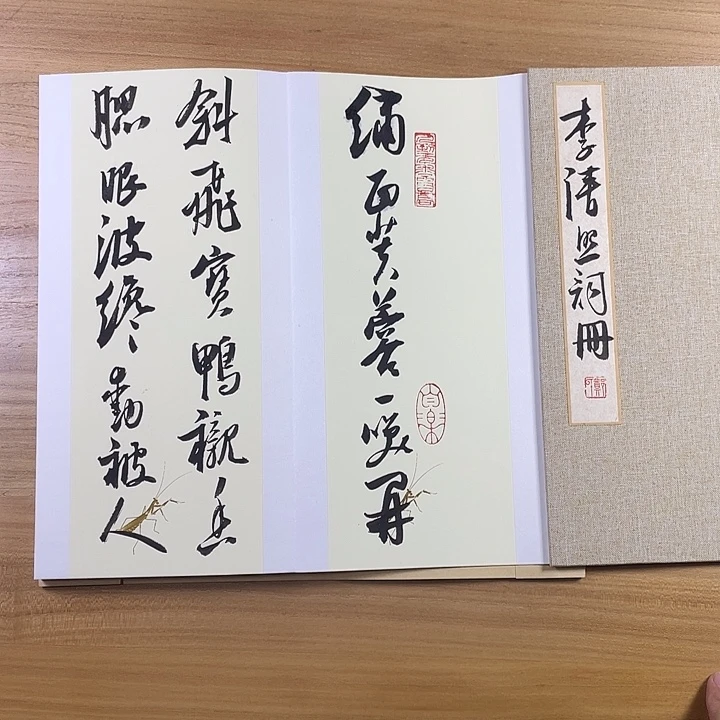 书法中书协会员作品