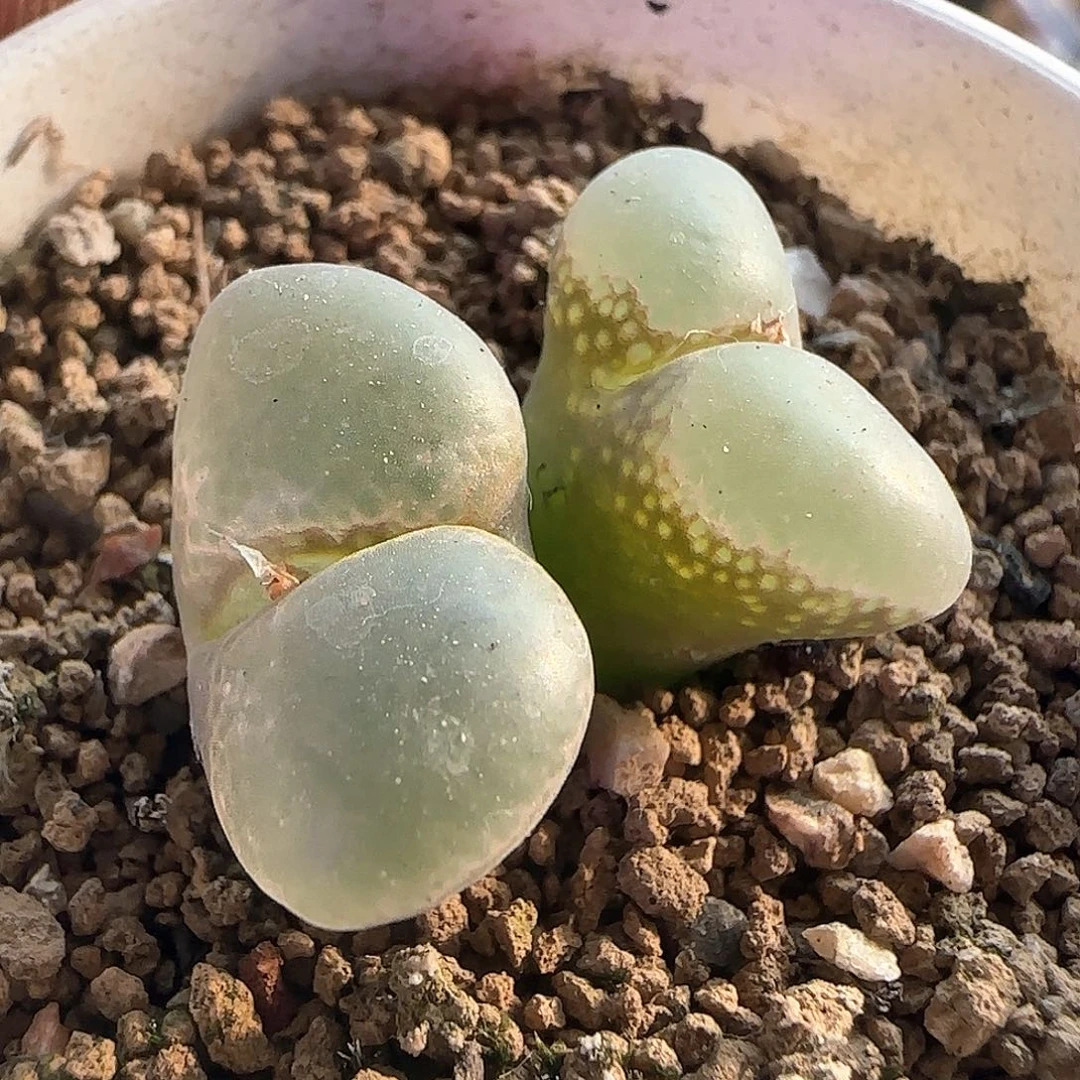 哈哈哈哈哈哈54657