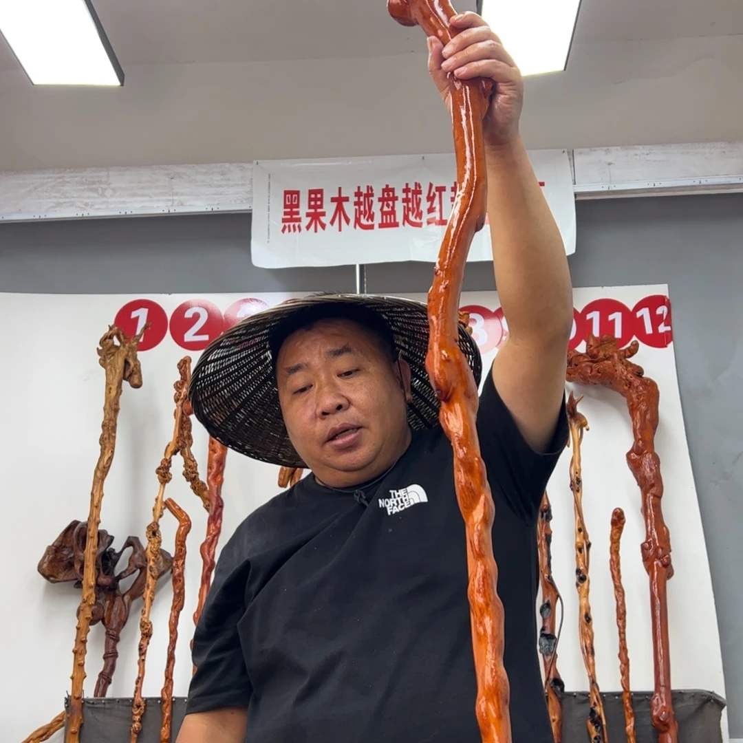 保***国黑果木其他黑果木761