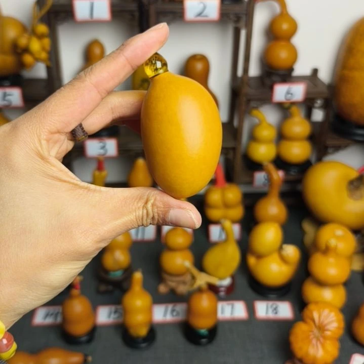 芒果小丢丢葫芦不退不换