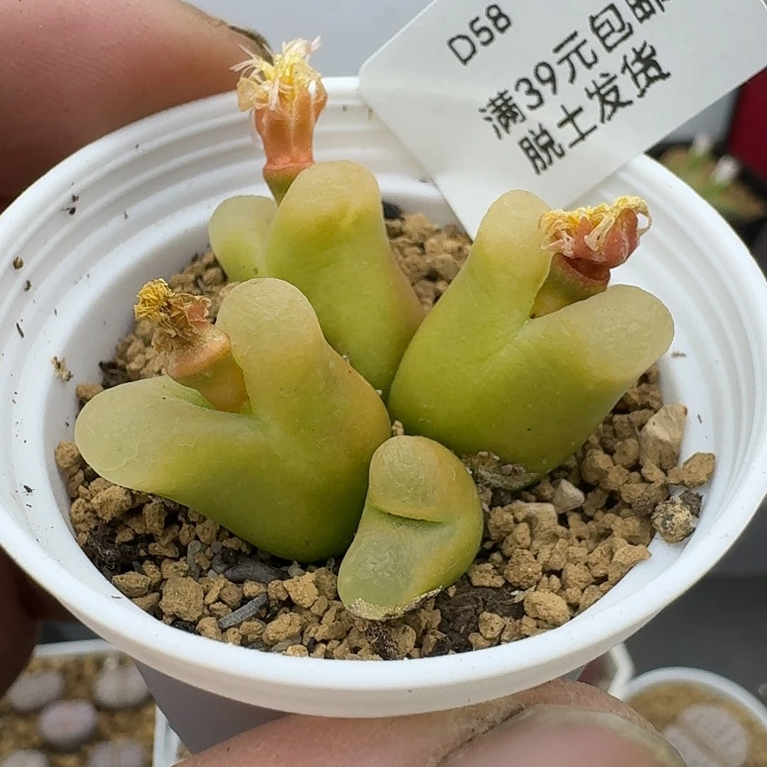 58哈哈哈哈哈哈哈