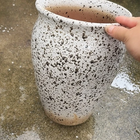20/29瑕疵瑕疵的。