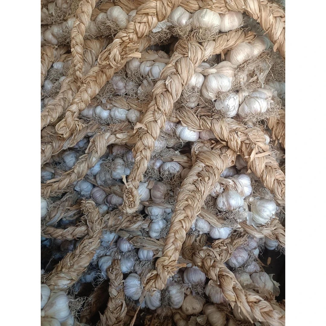 宝坻紫皮蒜3_4公分 50头 赠20头小头 蒜已生芽介意勿拍