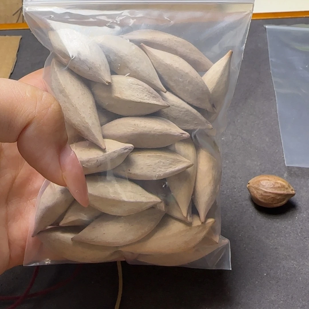 【闪购商品】橄榄核手串/手链橄榄核素核