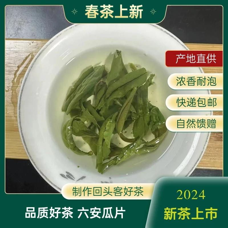 2024年中国名茶上等六安瓜片新茶浓香耐泡袋装罐装【山中事茶屋】
