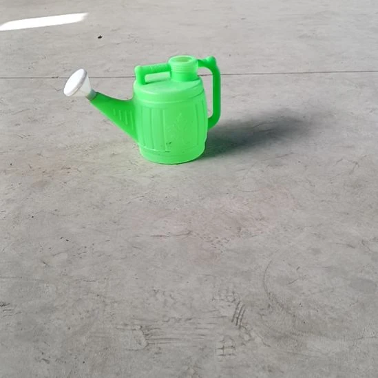 包运费已和客户说好