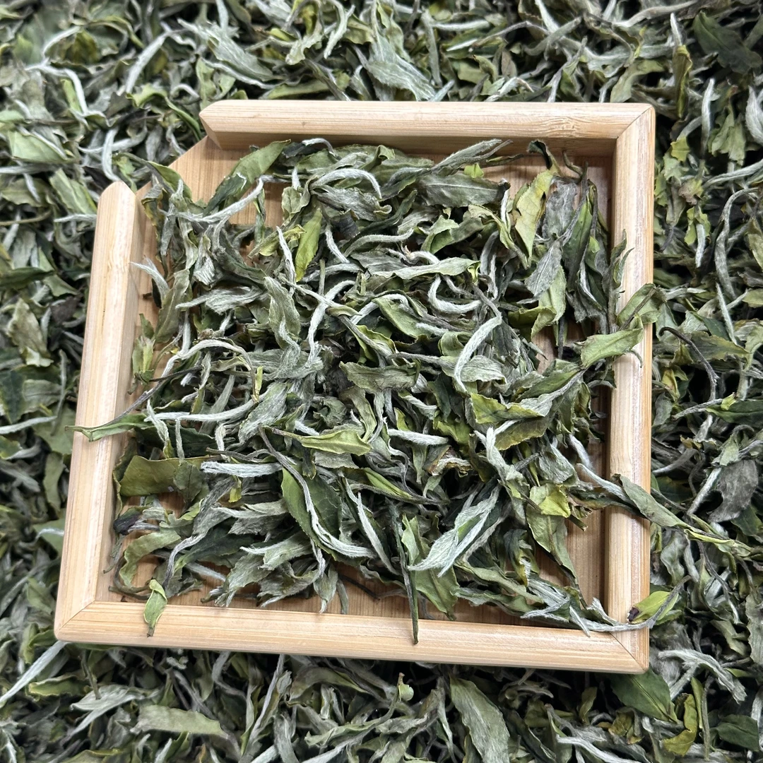 【2025年明前白牡丹】福建高山白茶明前白牡丹