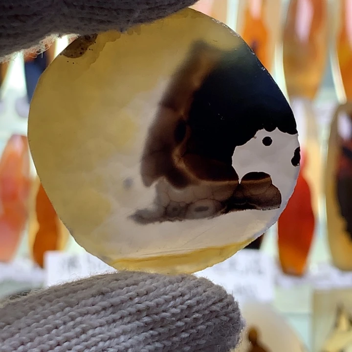 未镶嵌玛瑙/玉髓珠宝半成品222