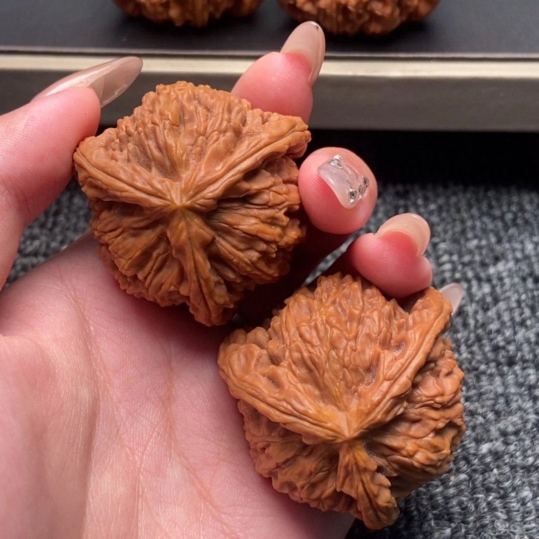 建***波木质类白狮子正奔