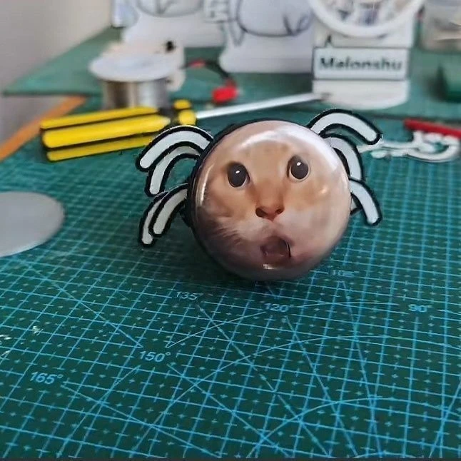 耄耋哈基米抽象猫咪圆头蜘蛛精表情材料包发条玩具搞怪可爱