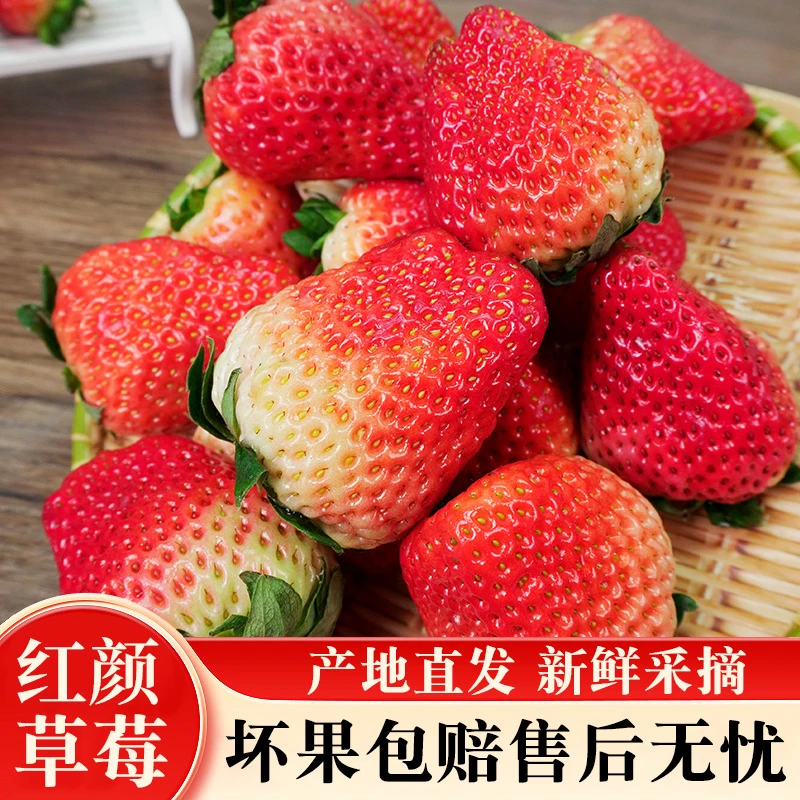 【顺丰包邮】安徽红颜奶油草莓扁果畸形果新鲜现摘现发40g-80g