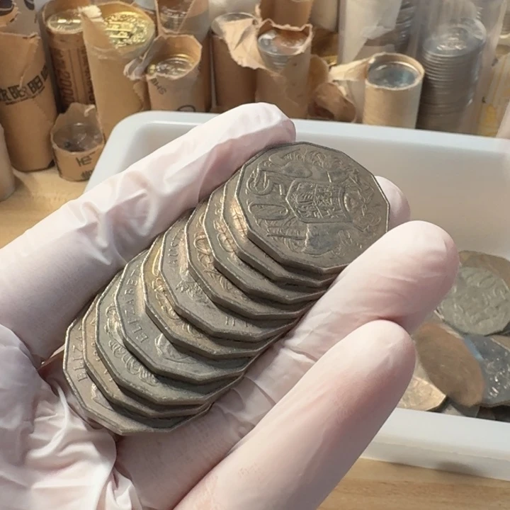 其他普通金属10枚，袋鼠币，流通品