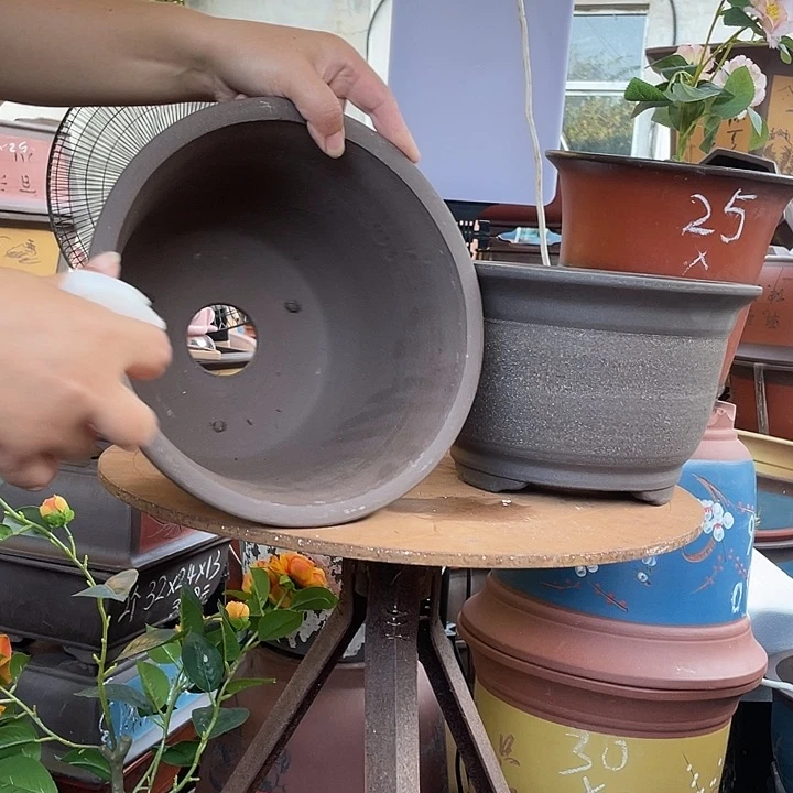 拉毛小马21+21花盆紫砂花盆紫砂