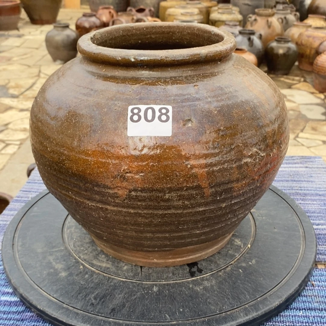 喵***派罐养花养花养花养草