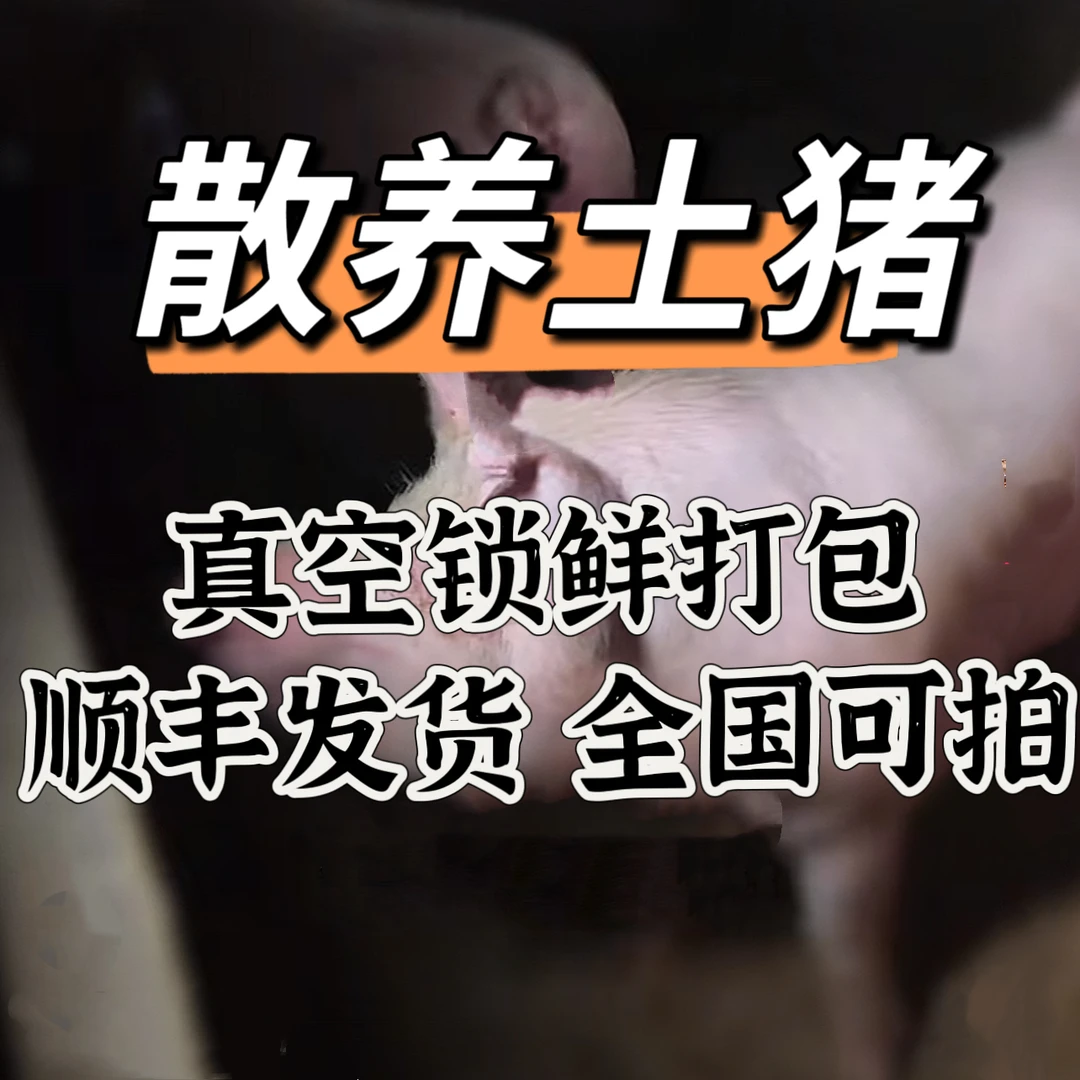 【熟食土猪】全国发货顺丰冷链包邮