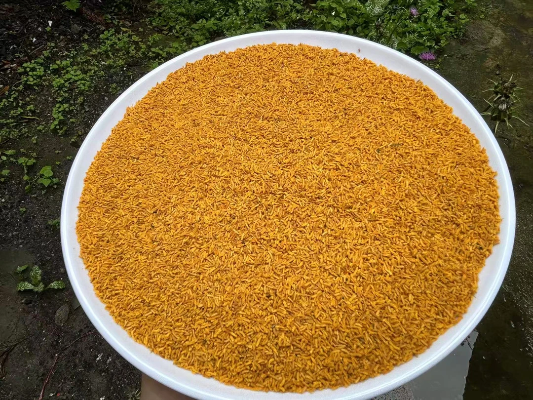 B【黄-唫-惢-】净含量-50g-500g【阿婷现收】非菇类