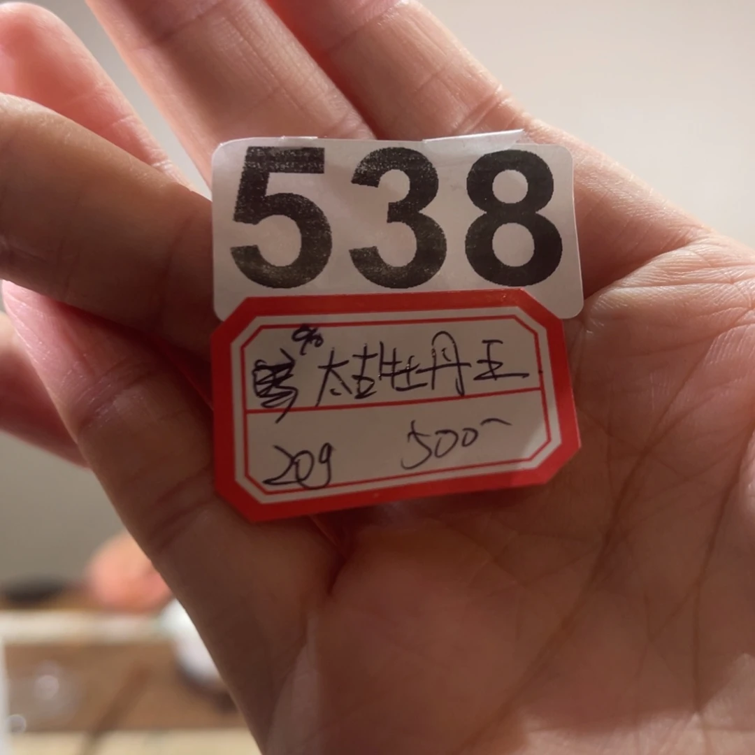538…………………………………………