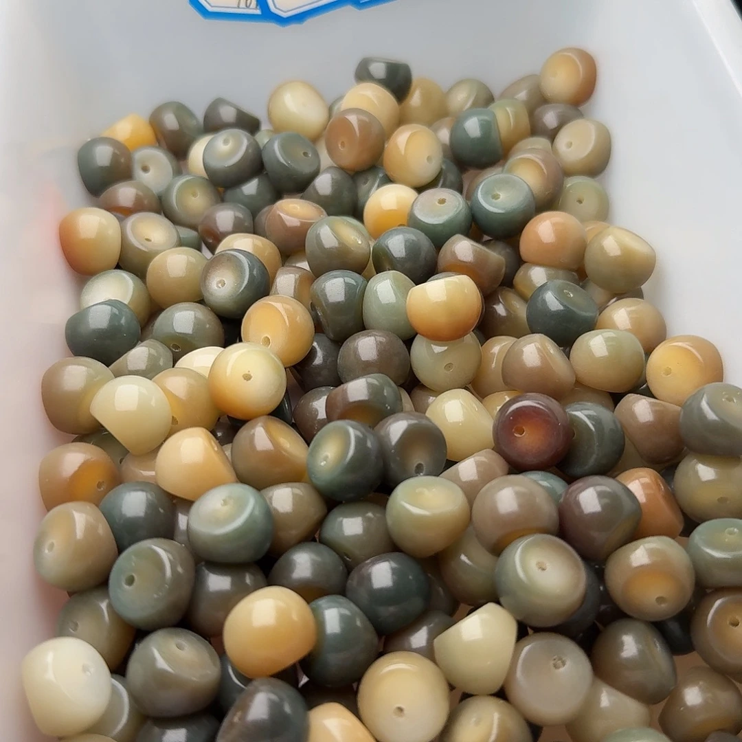 吊坠菩提根/象牙果50颗敦煌蒜瓣14