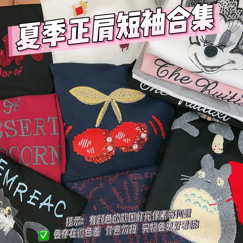 【0100-0299】夏季棉t女装时尚高级感休闲短袖t恤衣服刺绣