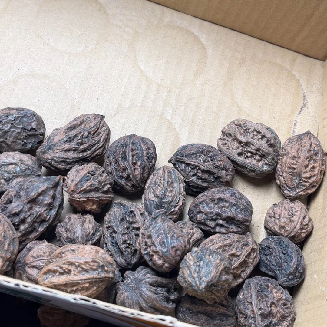 吊坠文玩核桃核桃35