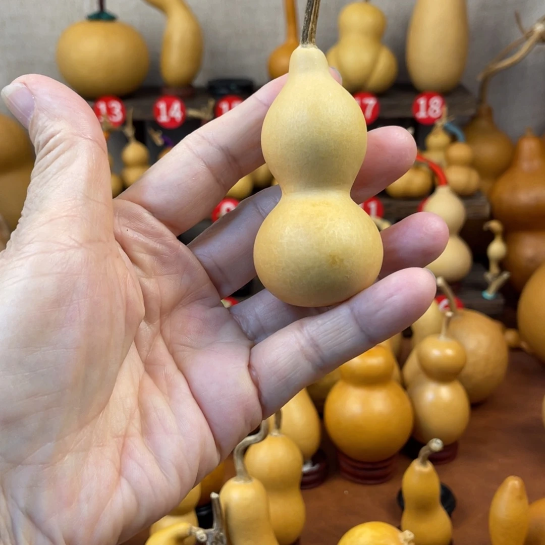 ****王葫芦哈哈哈哈哈哈哈哈